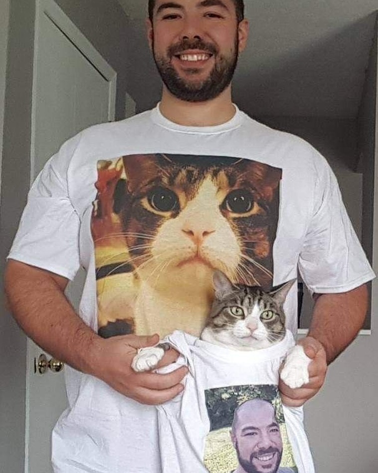 Punch Cat tweet media