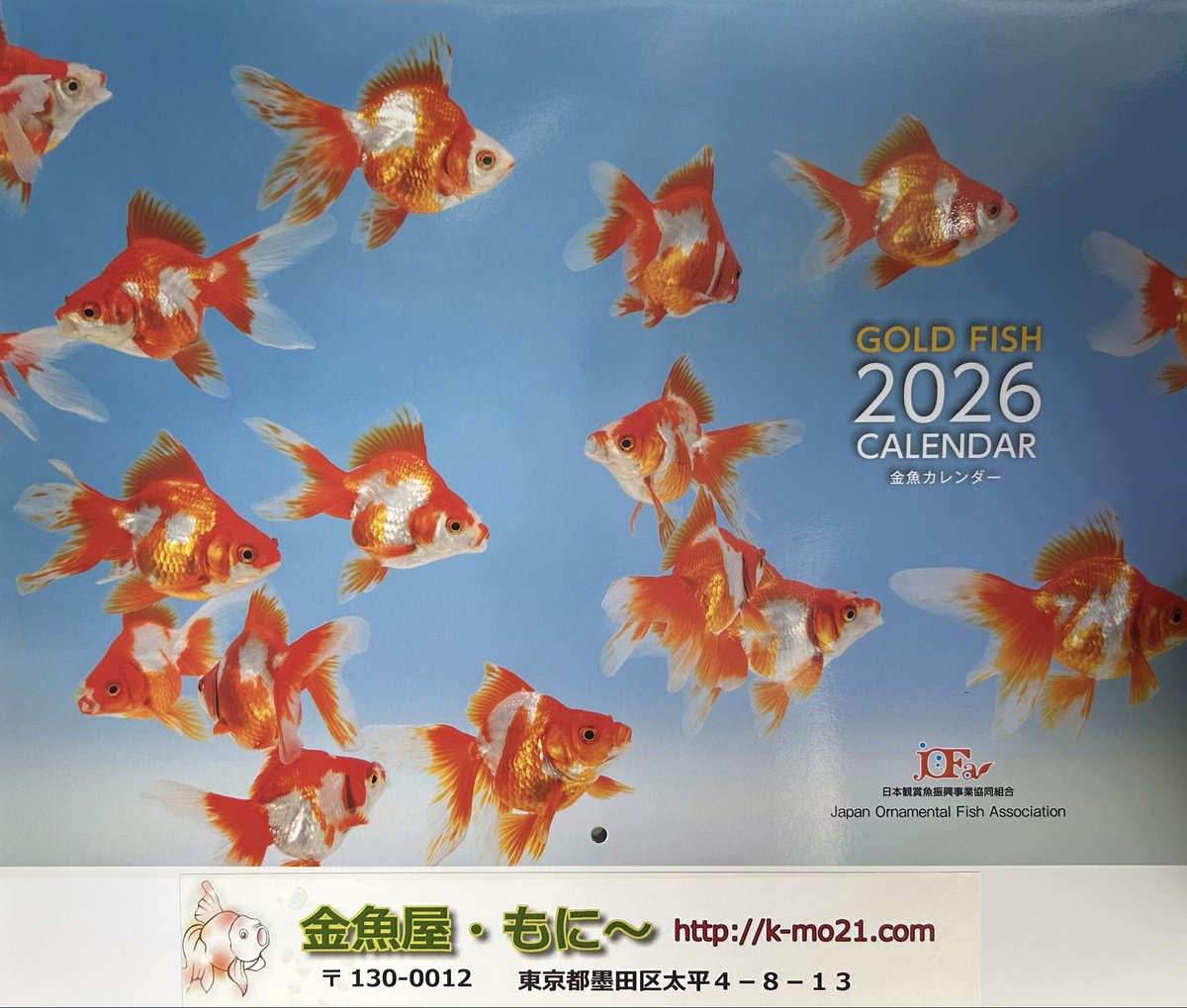 2026' 金魚カレンダー 通販価格：1,260円（税込） 販売開始致しました