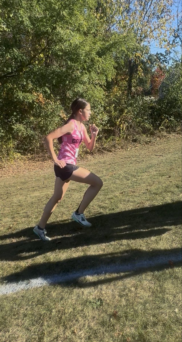 Dave Testa tweet media