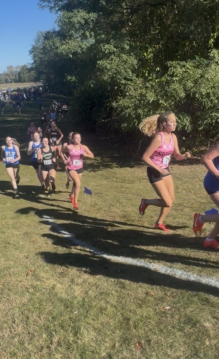 Dave Testa tweet media