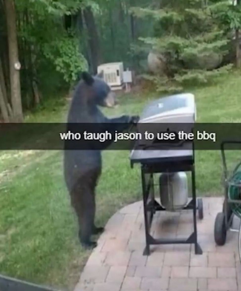 🕐HOURLY🕑 shitpost (@hourly_shitpost) on Twitter photo 