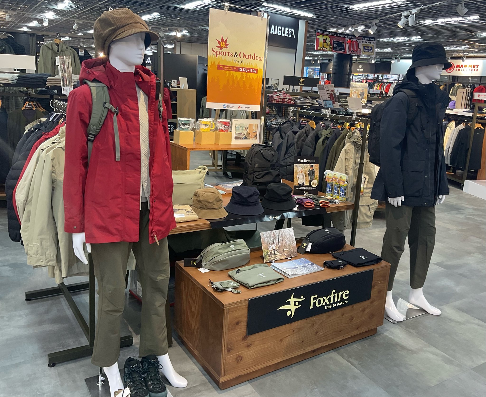 あざらし石置物　ソープストーン、石井佳苗やフォークアート、エスキモーやニポポ好き あざらし石置物 ソープストーン、石井佳苗やフォークアート