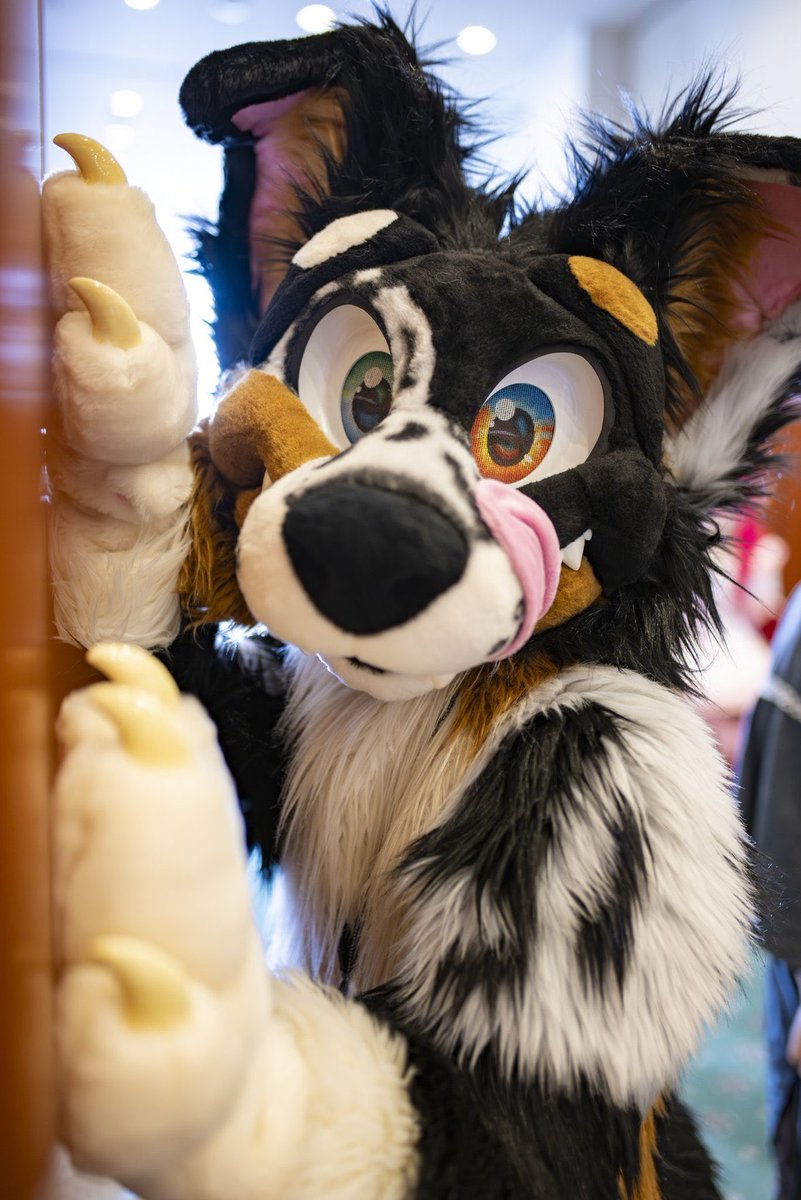 ちょっと疲れて休憩～
 #FursuitFriday

📸: <a href="/eps_ham/">ハム Ham</a> 
✂️: <a href="/MoreFurLess/">More Fur Less</a>