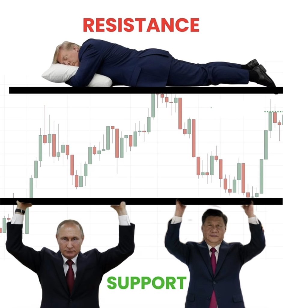 RITU RAJ tweet media