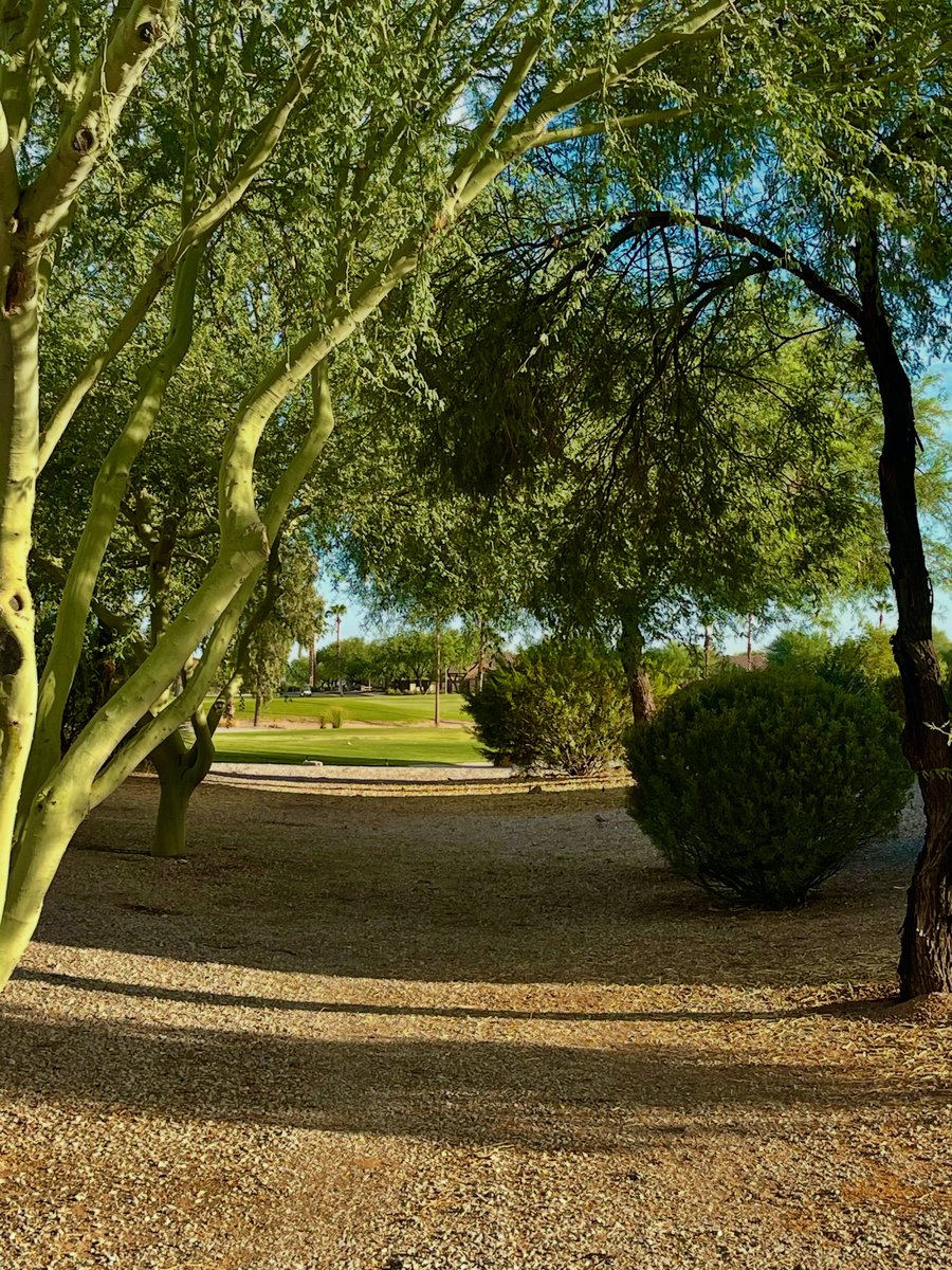 Happy Friday everyone! Goodnight from Arizona. 🌙