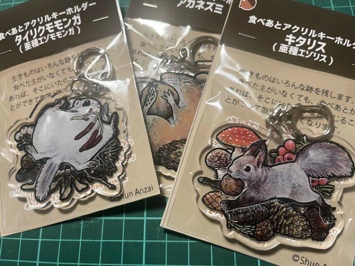 安斉俊🐻仕事缶詰中 tweet media