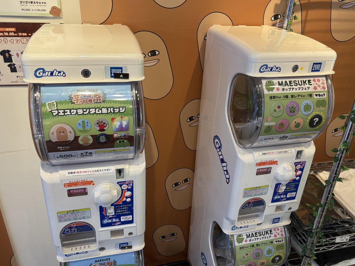 マエスケ芋の収穫祭2025】 本日『芋ブランケット』、『マエスケ