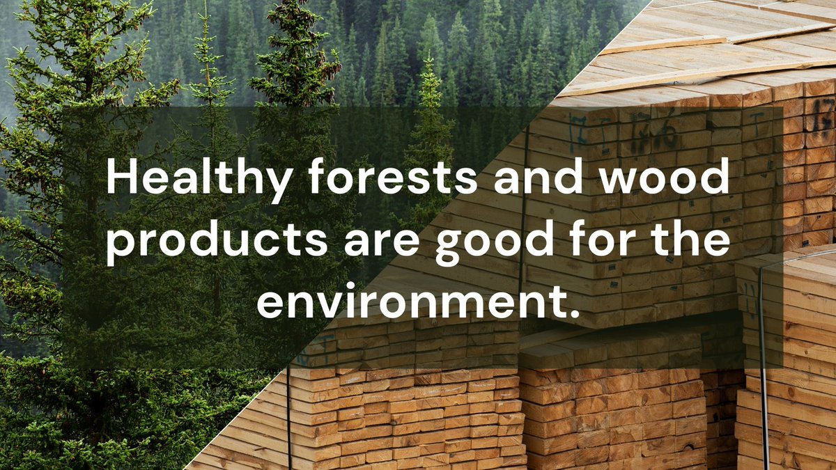 Washington's working forests are crucial to meeting the state's commitment to reduce net carbon emissions by 95% by 2050. Trees use atmospheric CO2 to turn carbon into solid wood. The carbon in harvested trees remains throughout the wood product's lifespan. #workingforests