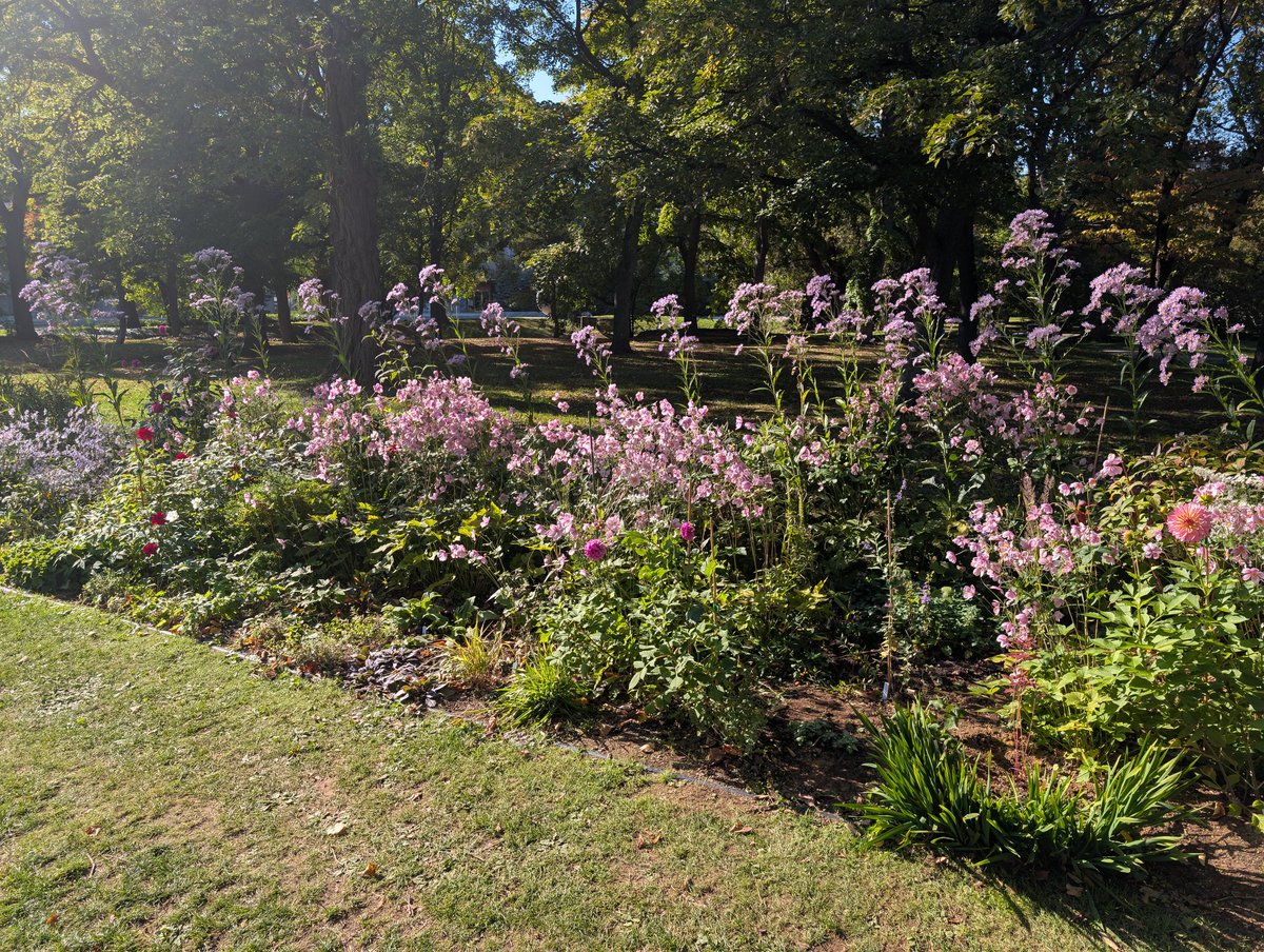 久々の北海道を堪能できたわ〜
また来月行きますーー！