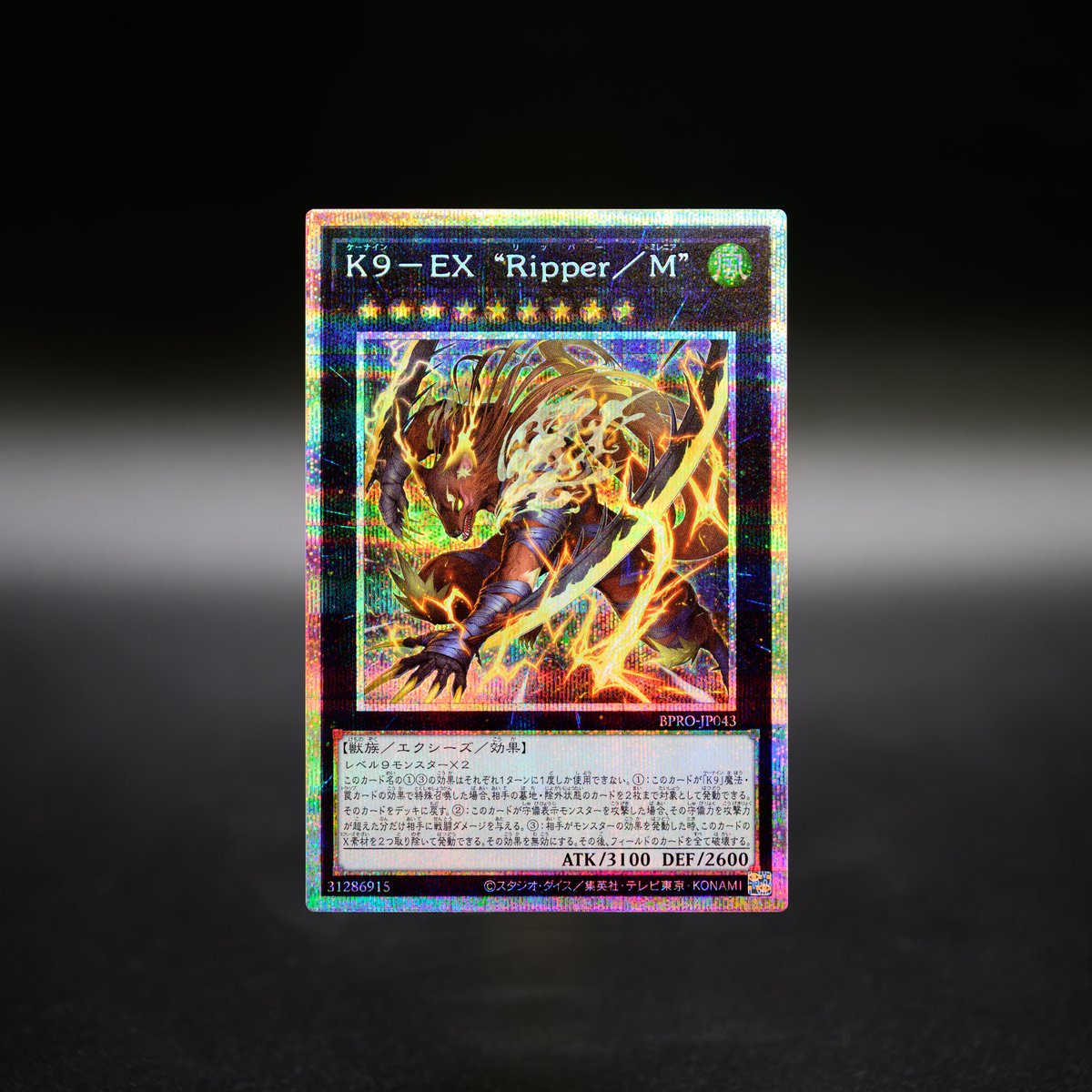 遊戯王OCG デュエルモンスターズ HIGH-RESOLUTION ARTWORK series 遊戯王OCGデュエルモンスターズHIGH-RESOLUTION ARTWORK SERIES