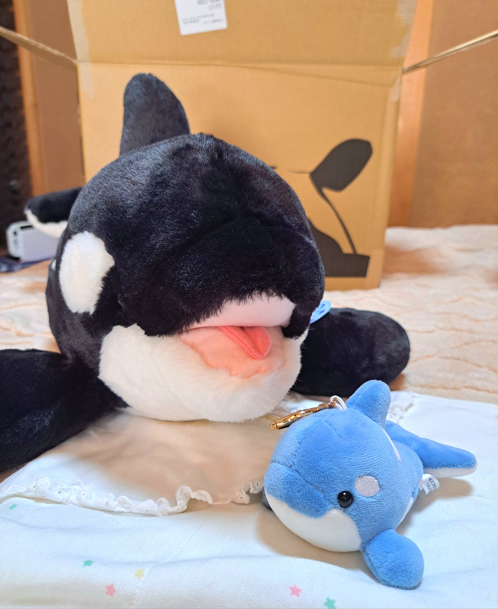 i'kooke.summer on X: 