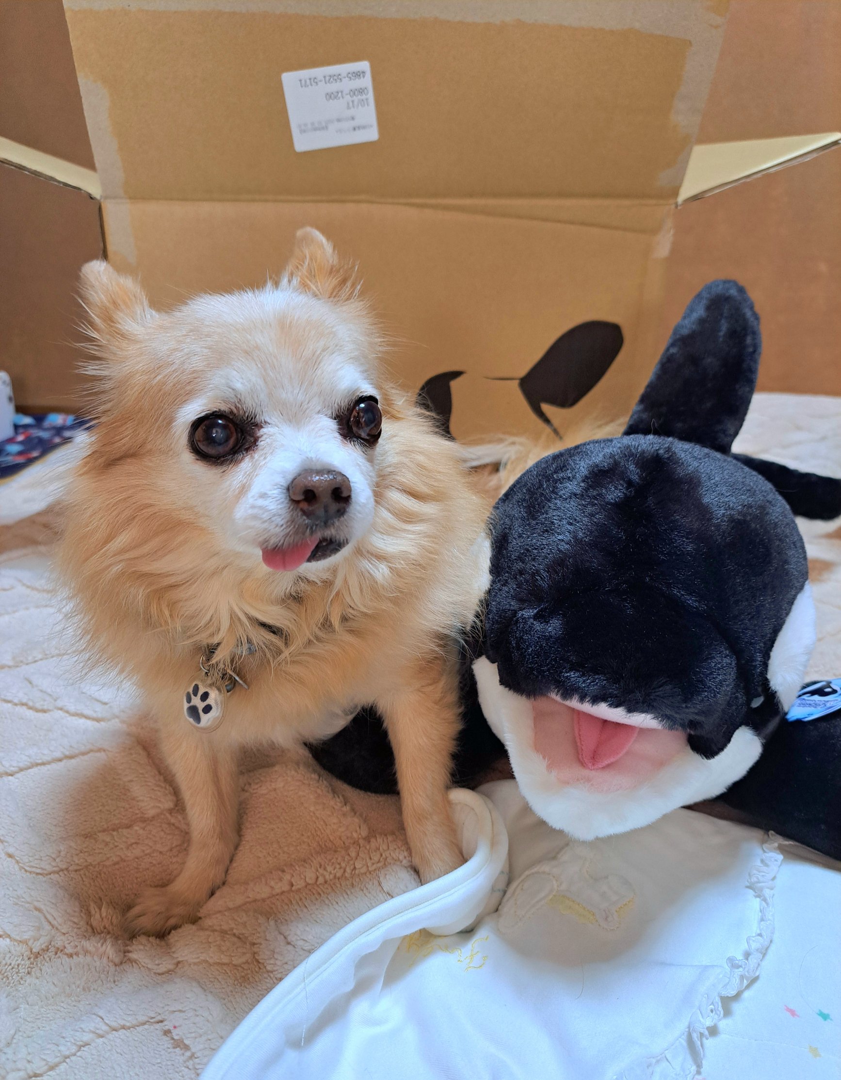 i'kooke.summer on X: 