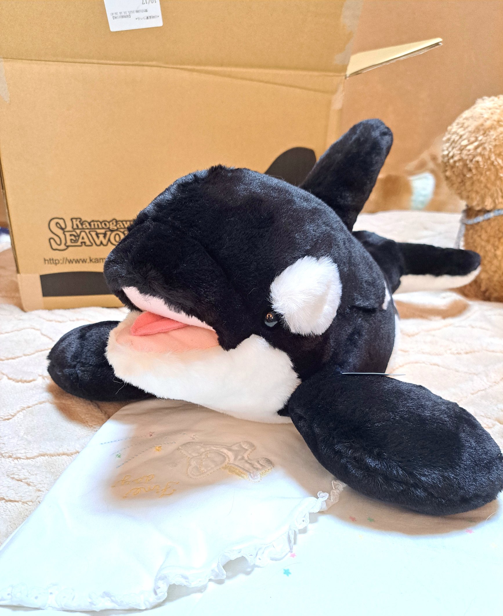 i'kooke.summer on X: 