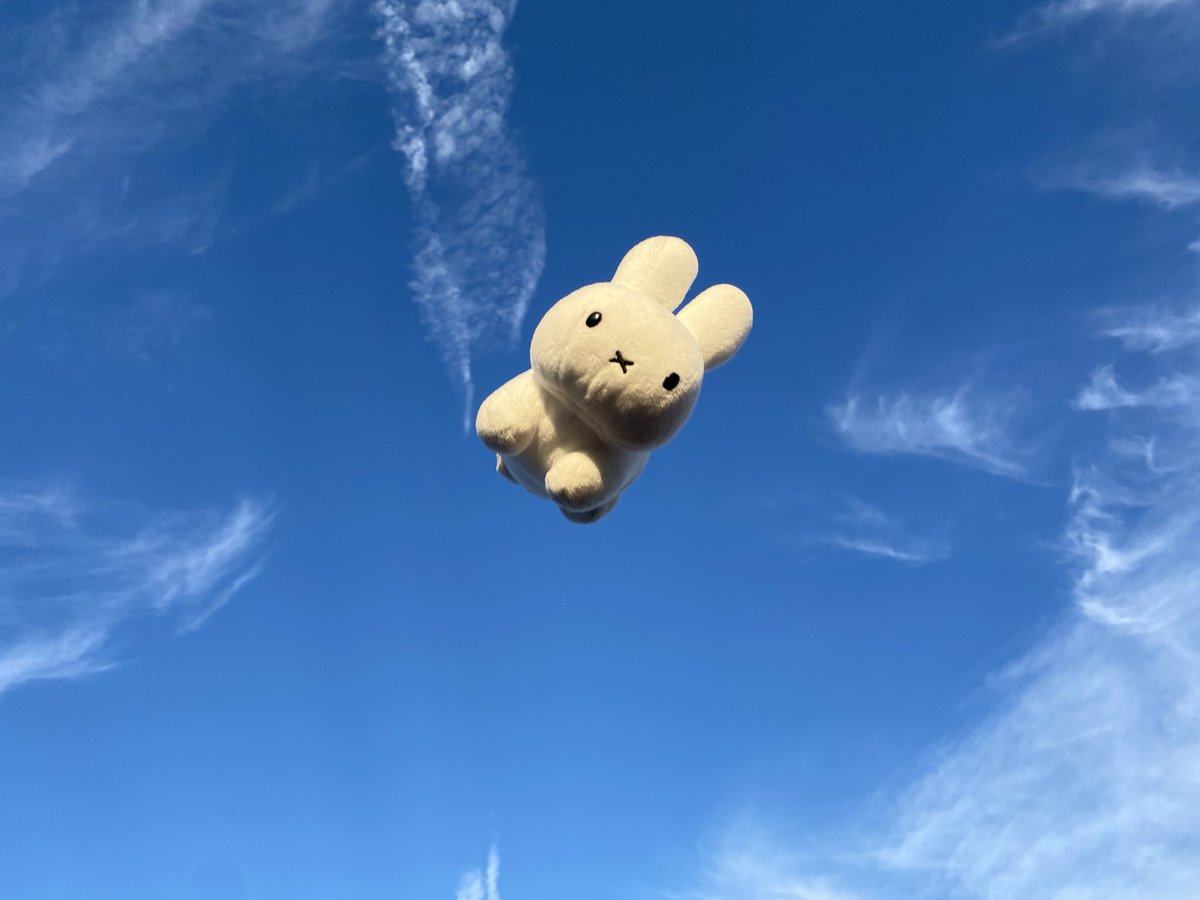 金曜の空にうさぎ舞う