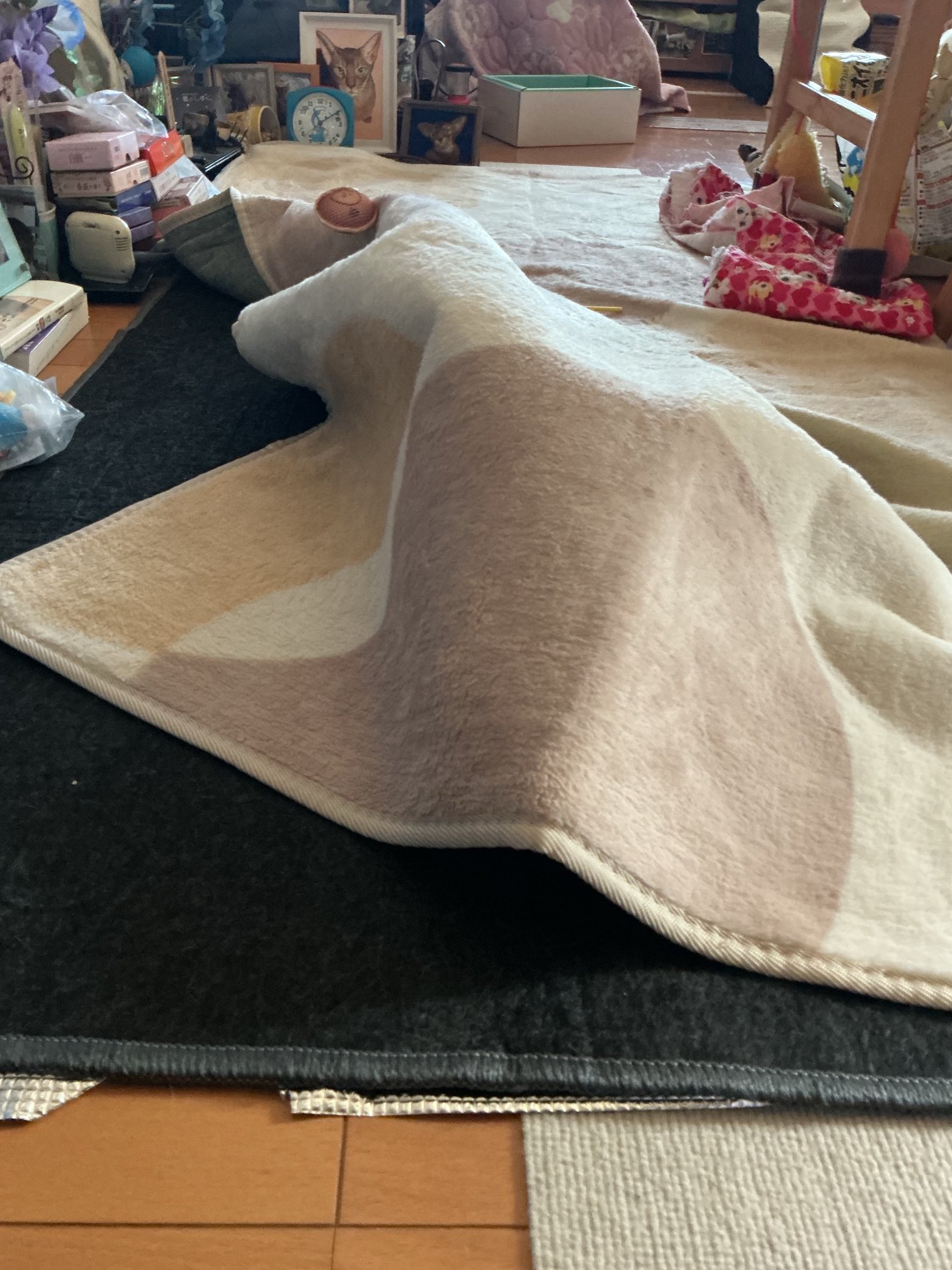 やっちゃん コウペンちゃん コウペンちゃん（後ろ姿） スウェット – Talking