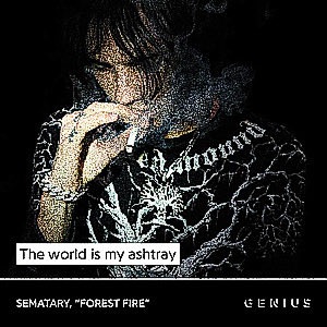 red 🦌 tweet media