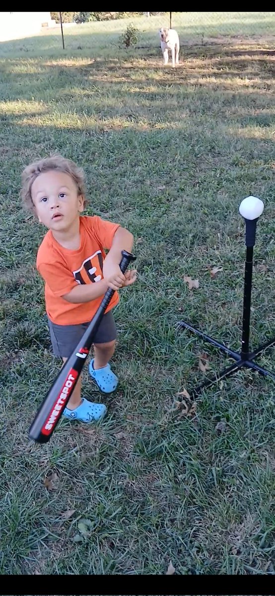 Deidra Zamonski-Blake tweet media