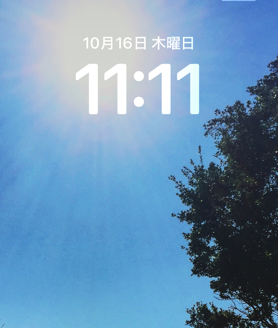 ❤︎⃜naoさま確認ページ♡ けんし🍋は〜もにゃん on X: 