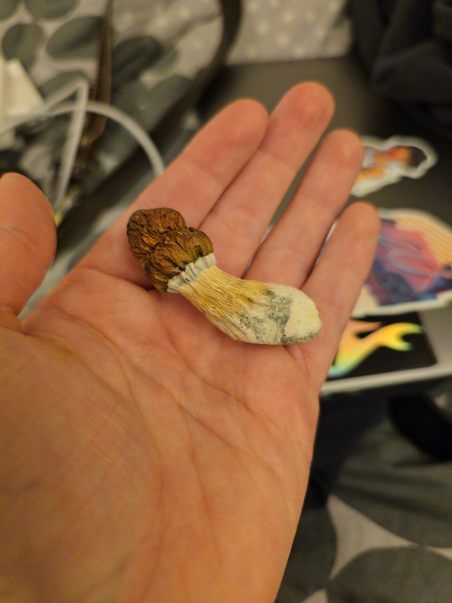 _marsdust's tweet image. i made a friend!