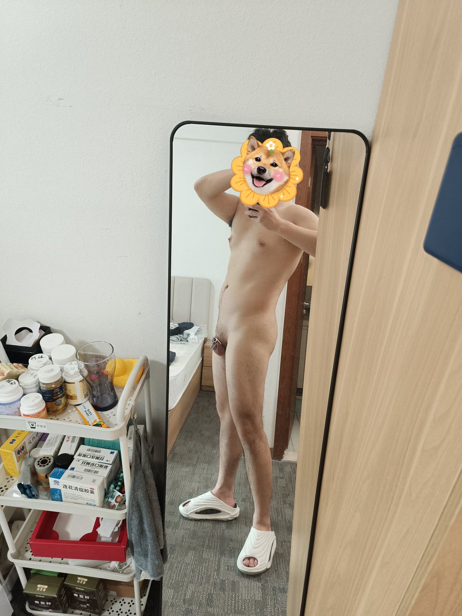 小狗穿内裤了哦