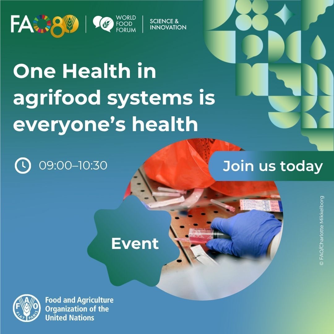 FAO Innovation tweet media