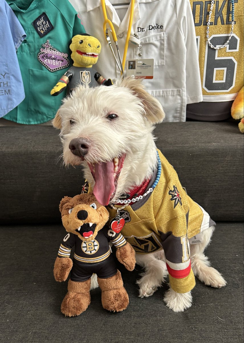 DekeHenriFurry's tweet photo. WINNER!
@NHLBruins 5
@GoldenKnights 6
~ Deke🐾
#GoKnightsGo
#VegasBorn
#BOSvsVGK
#VictorySausage https://t.co/X5T3VJOQuf