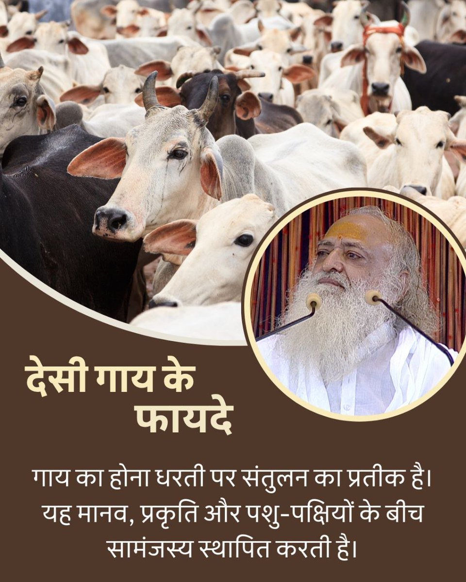AshramGaushala's tweet image. Sant Shri Asharamji Bapu - Desi Gau Ke Labh are countless. Among all living beings, only the Gau Mata absorbs the Gau kiran and provides us with milk and gaumutra.
Desi Cow not only provides physical benefits but also spiritual benefits.
#GauSewa