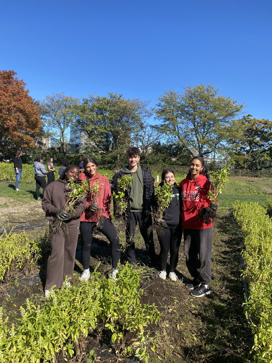 Our hands smell like basil. 

We’re happy to partner with our friends from Wickliffe H.S. @learn_leadserve to harvest basil at the <a href="/ohiocityfarm/">Ohio City Farm</a>. 

We’re always grateful to work at the largest urban farm in Ohio, managed by refugees who contribute so much to our beautiful city.