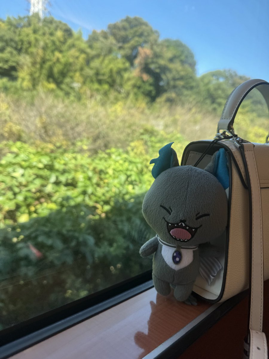 日本の女の子らぶぶつけてるひとたくさんいて、わたしもバッグになにかつけたくなったのでグリム🐱と旅行してる
(サイズがらぶぶニキと同じくらい)