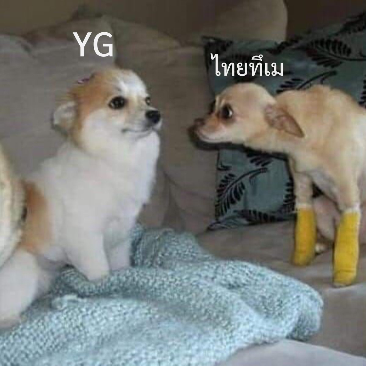 หายไปครึ่งเดือนเพื่อกลับมาประกาศจัดคอนวันเดียว เอาใหม่ พี่ให้โอกาสแก้ตัวอีกรอบ