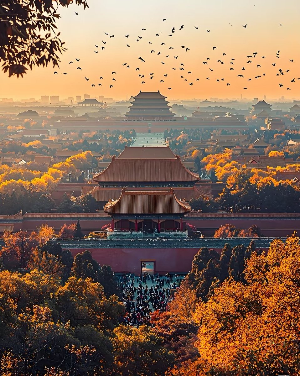 故宫的秋
The Autumn of the Forbidden City