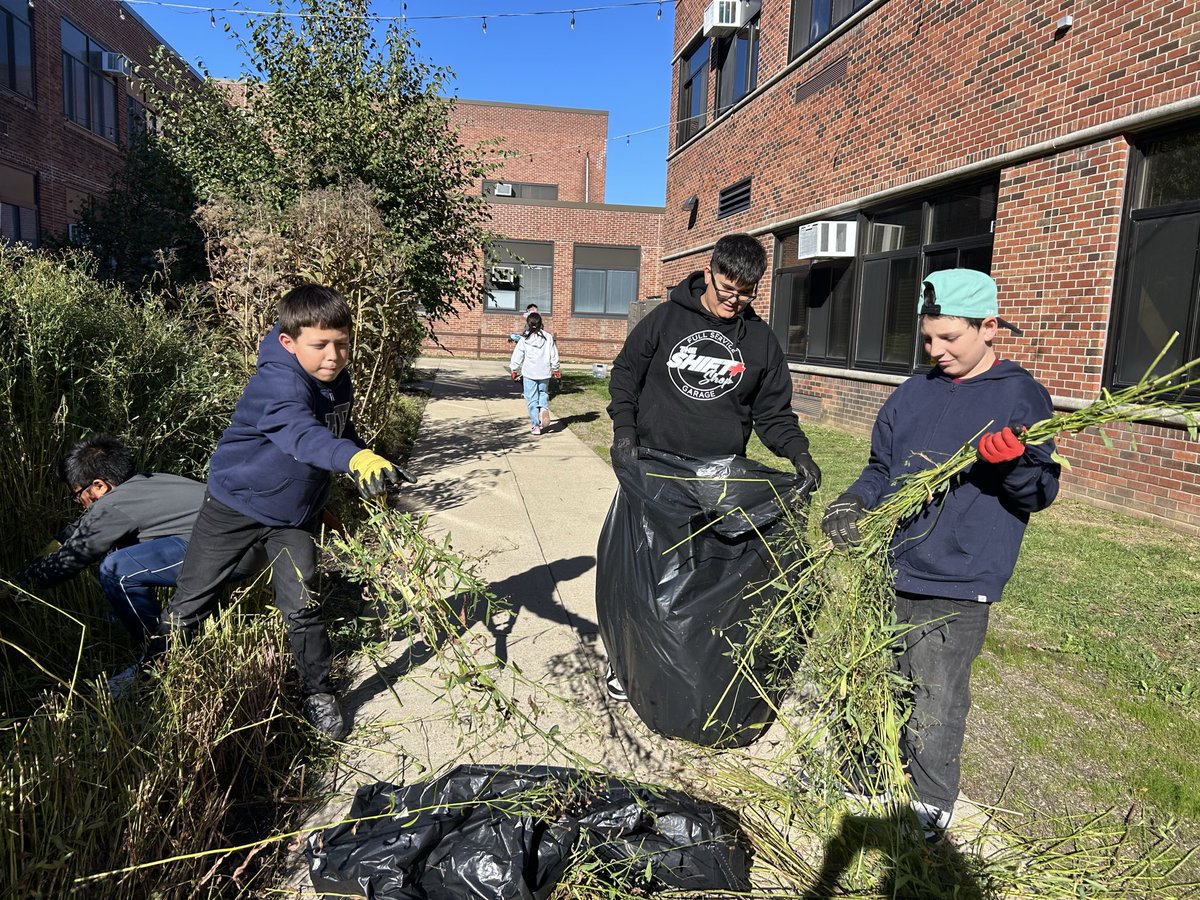 Mrs. Marzillier tweet media