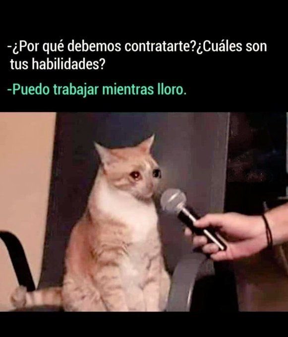 Hola :)