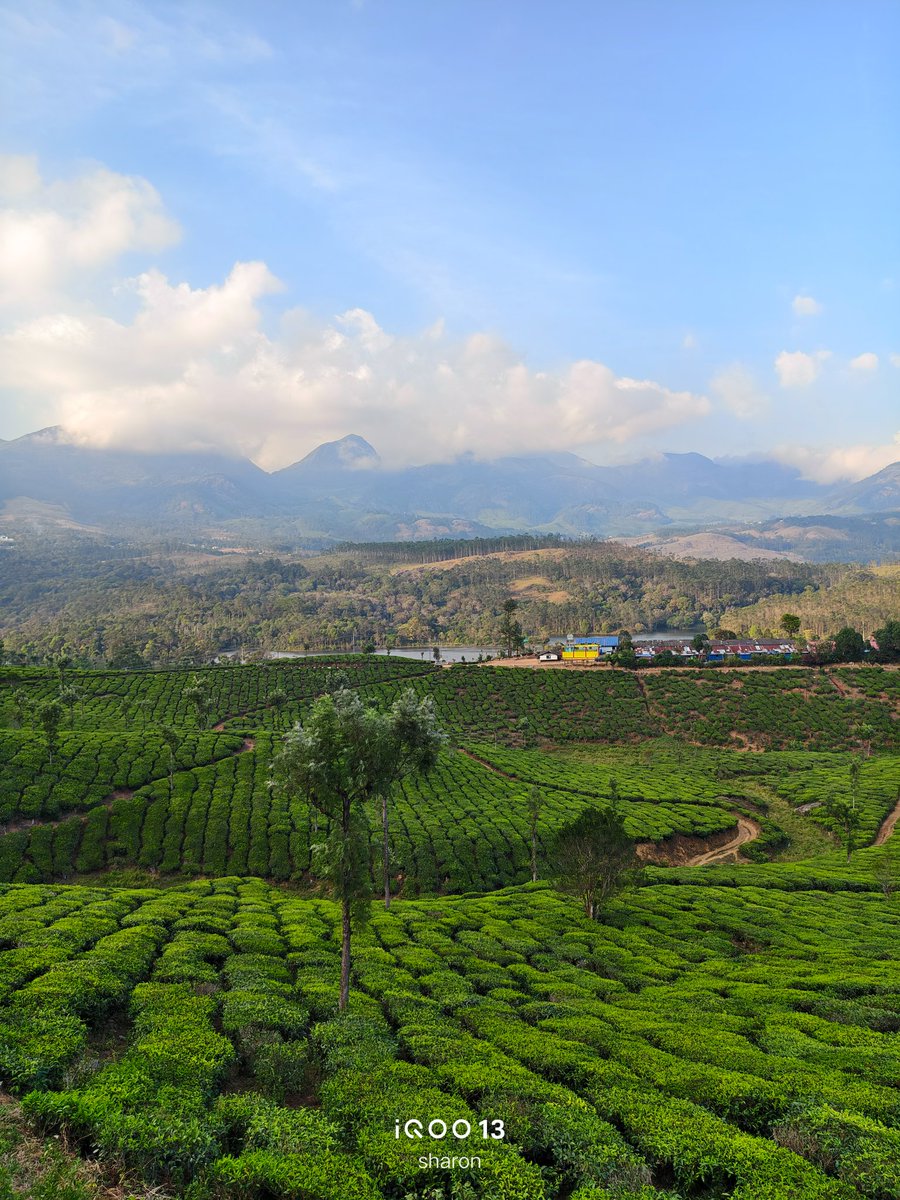 _CodeWizard's tweet image. Random Clicks from Munnar | #ShotOniQOO13 📸✨