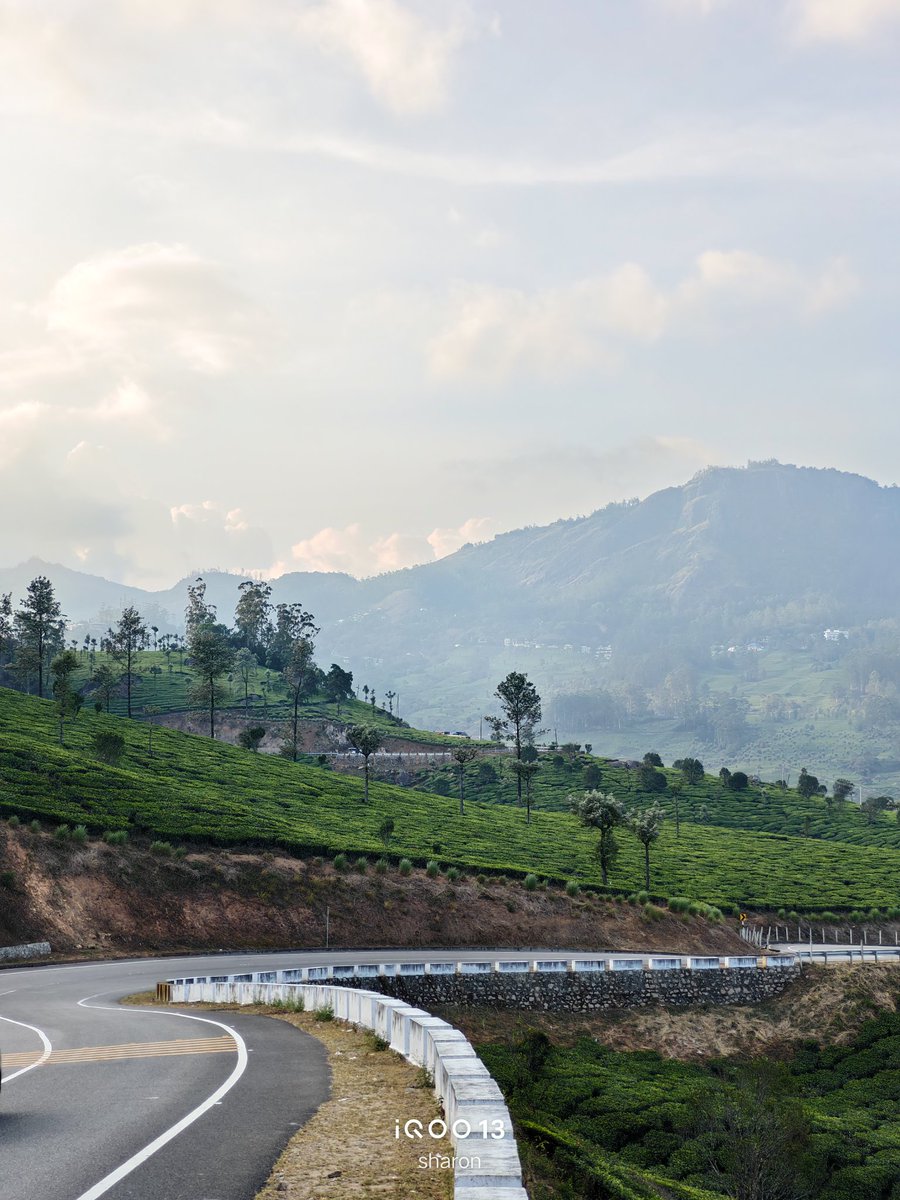 _CodeWizard's tweet image. Random Clicks from Munnar | #ShotOniQOO13 📸✨