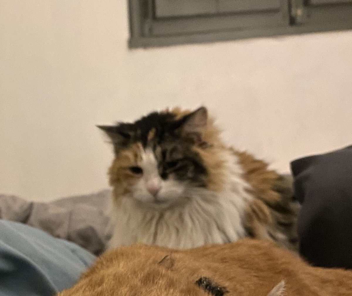 ruizdiaries (@ruizdiaries) on Twitter photo 