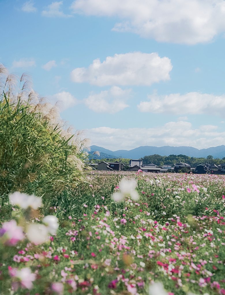 Ynana216 (@ynana216) / Posts / X