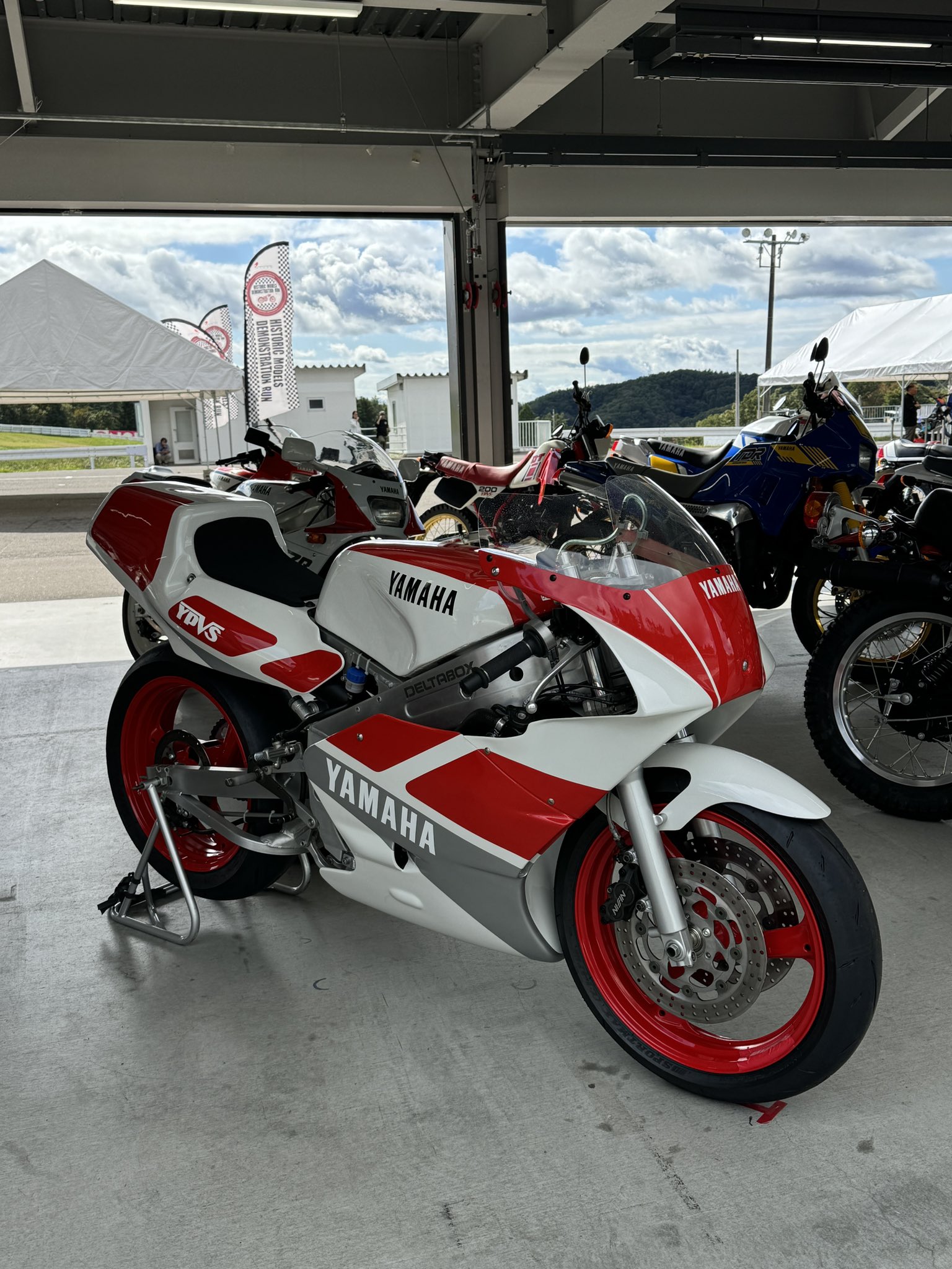 Hanana さま　専用ページ サブリナナチュラルパンスト ナチュラルベージュ | マツキヨ