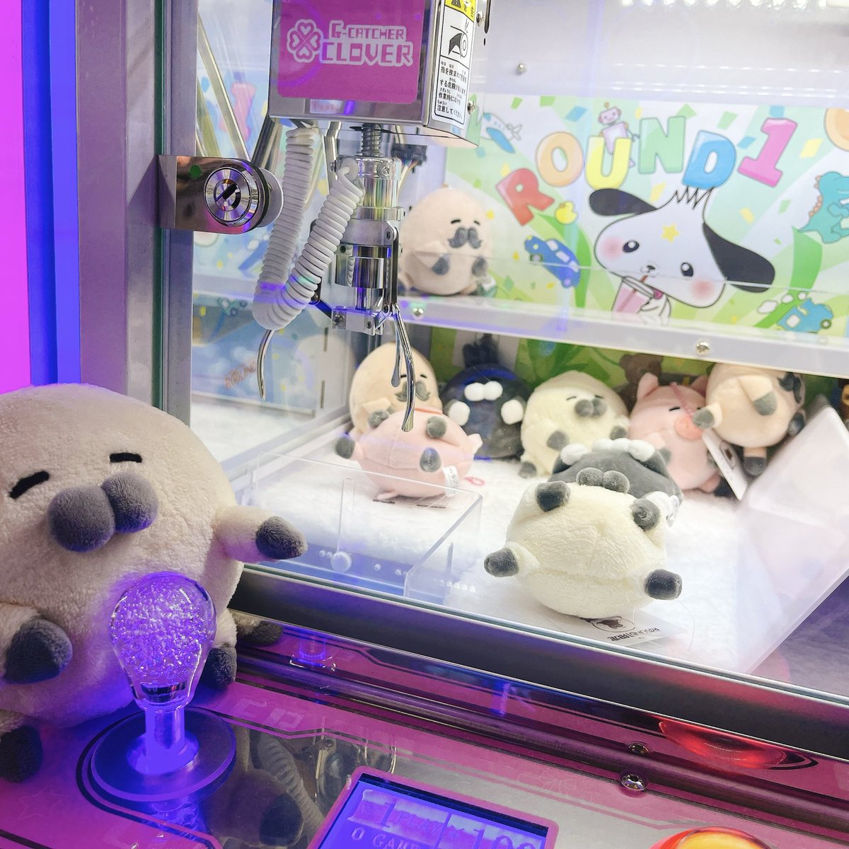 のらざらし (@norazarashi) / X