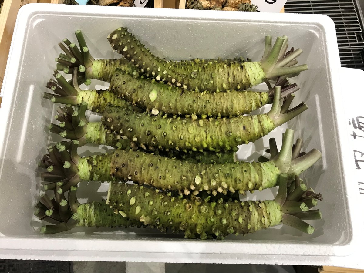 ワサビ】日本原産の香辛野菜で、根茎をすりおろして利用。刺身や寿司に