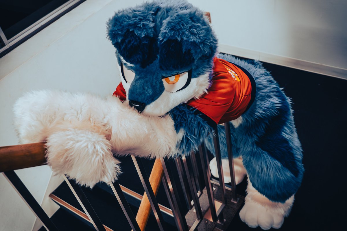 セクシーリンドウ～踊り場編～
#FursuitFriday