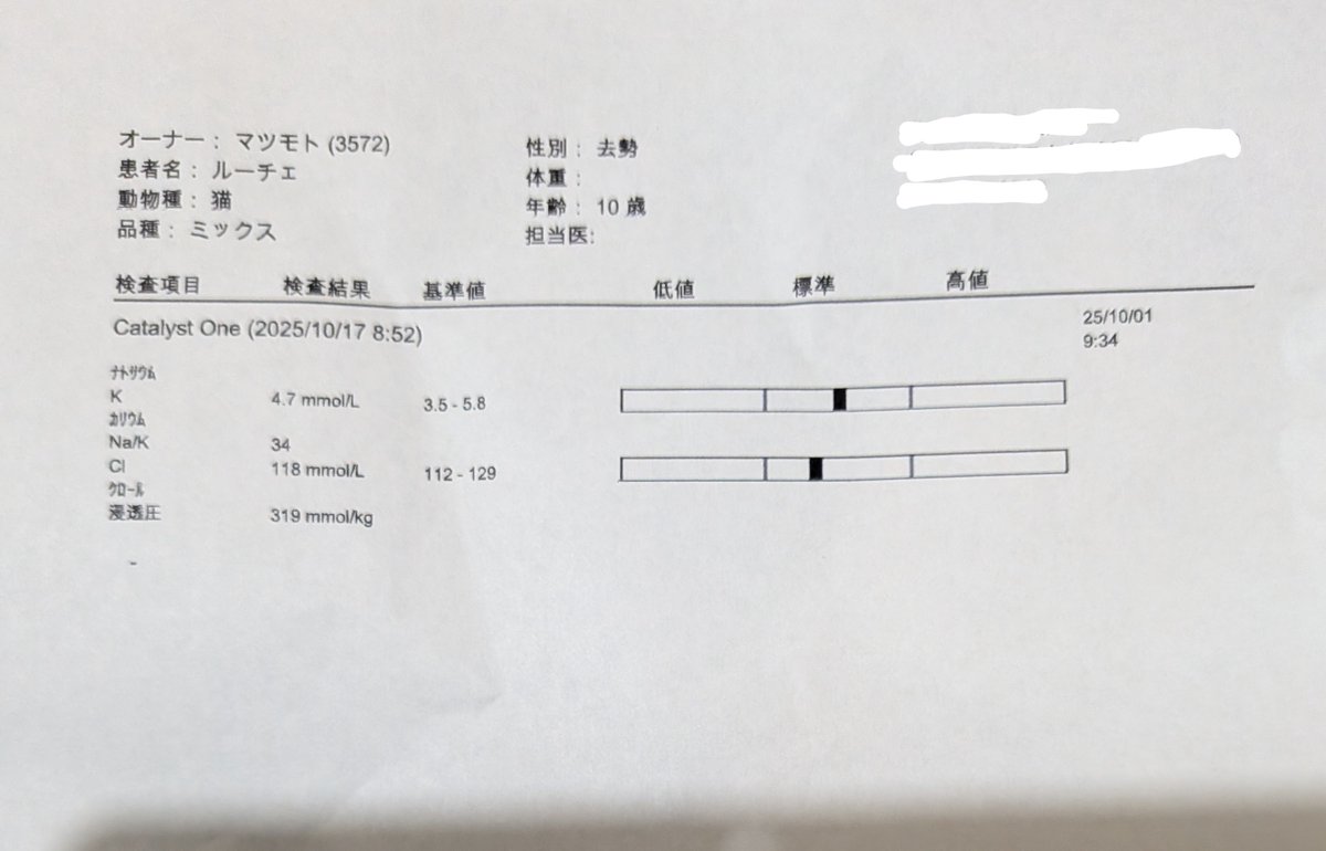 ルっちゃん病院行ってきました。只今入院中ですが明日退院です。レブリチンの副作用が出ないか診てもらってます。