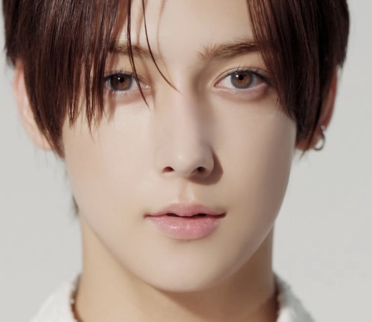 ロイくんページ momo_roro13 on X: 