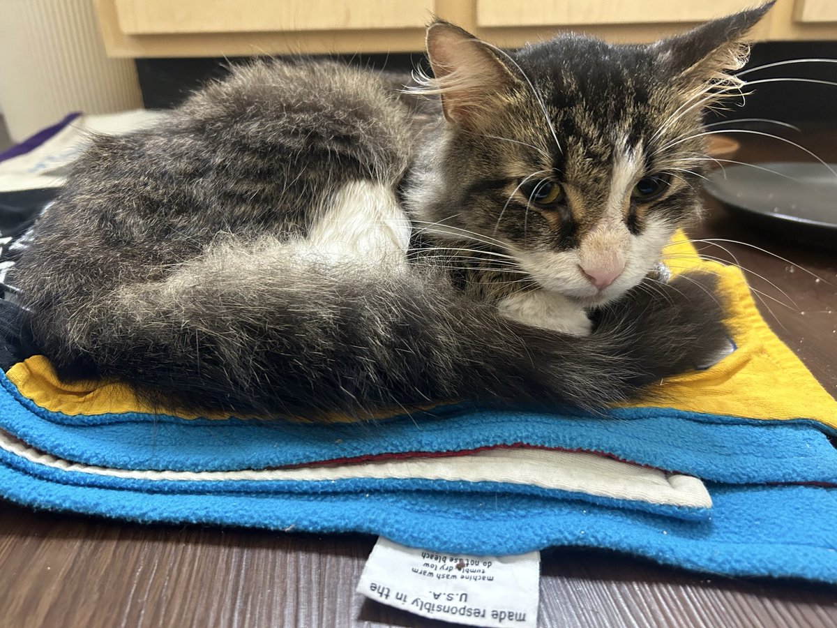 _thoho's tweet image. to be loved is to be changed