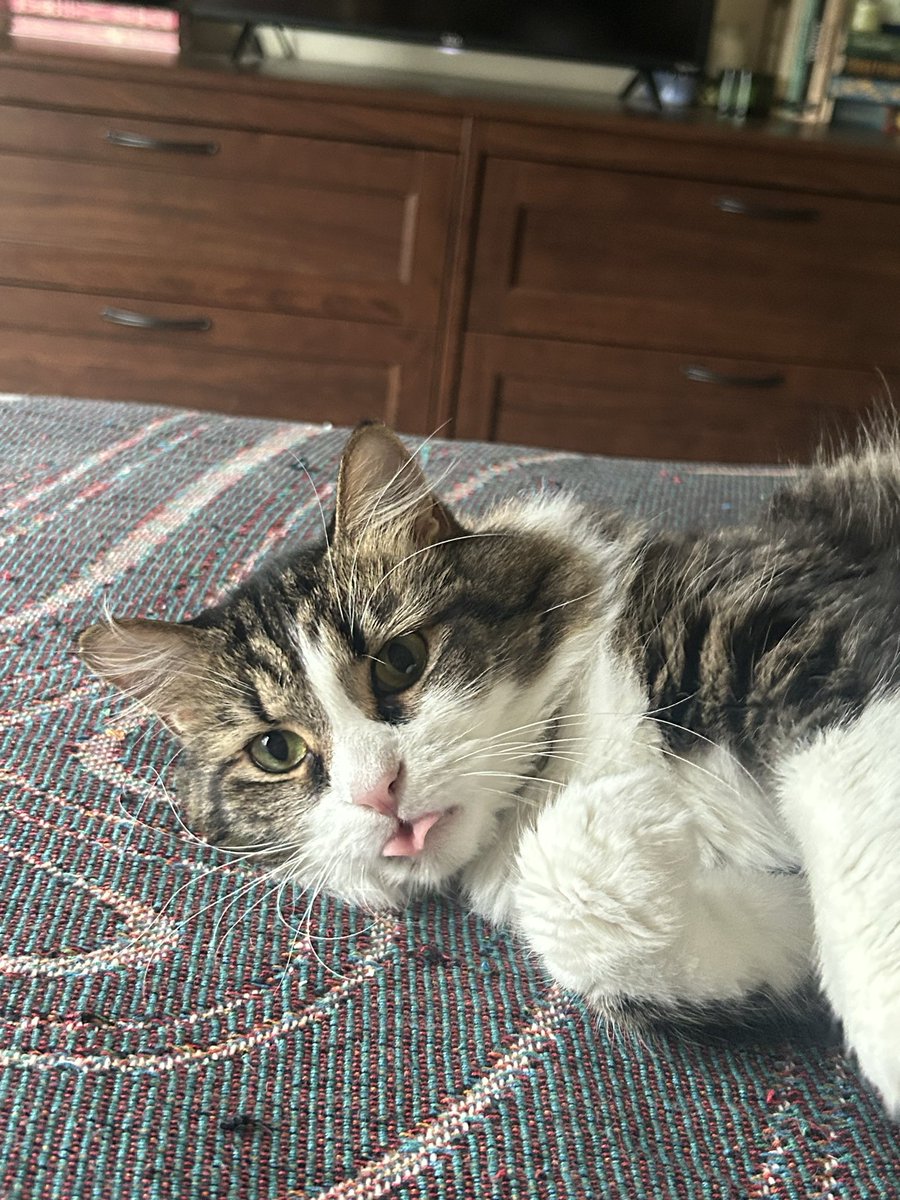 _thoho's tweet image. to be loved is to be changed