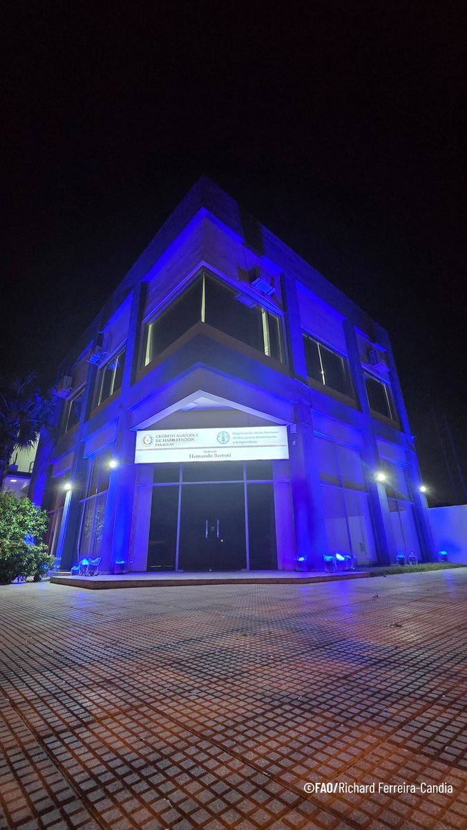 📌Finalmente, la sede de la Oficina de la <a href="/FAO/">Food and Agriculture Organization</a> en #Paraguay ubicada en el <a href="/CAHParaguay/">Crédito Agrícola de Habilitación (CAH)</a>, habilitada este año. Es la primera vez que se ilumina para el #DMA. La FAO ha firmado este año un nuevo marco de cooperación con el país que irá hasta el 2029.