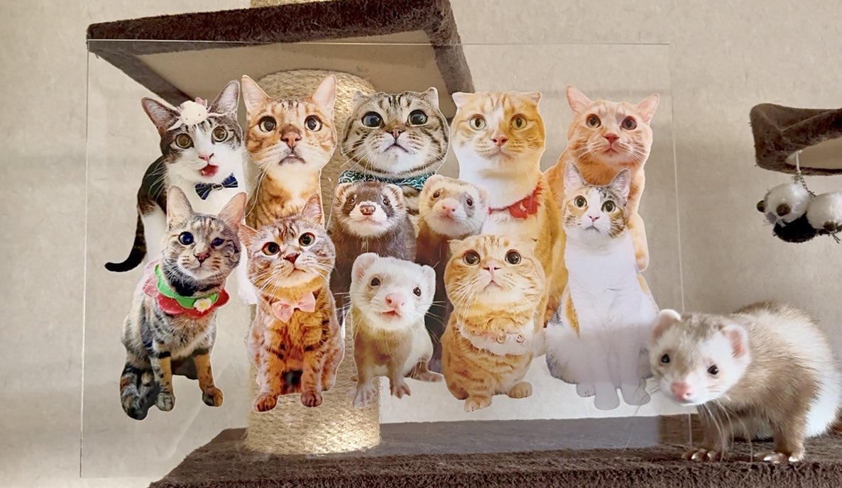 No.0 ハンドメイド双子ネコちゃん✳︎ No.0 ハンドメイド双子ネコちゃん✳︎ No.0 ハンドメイド双子