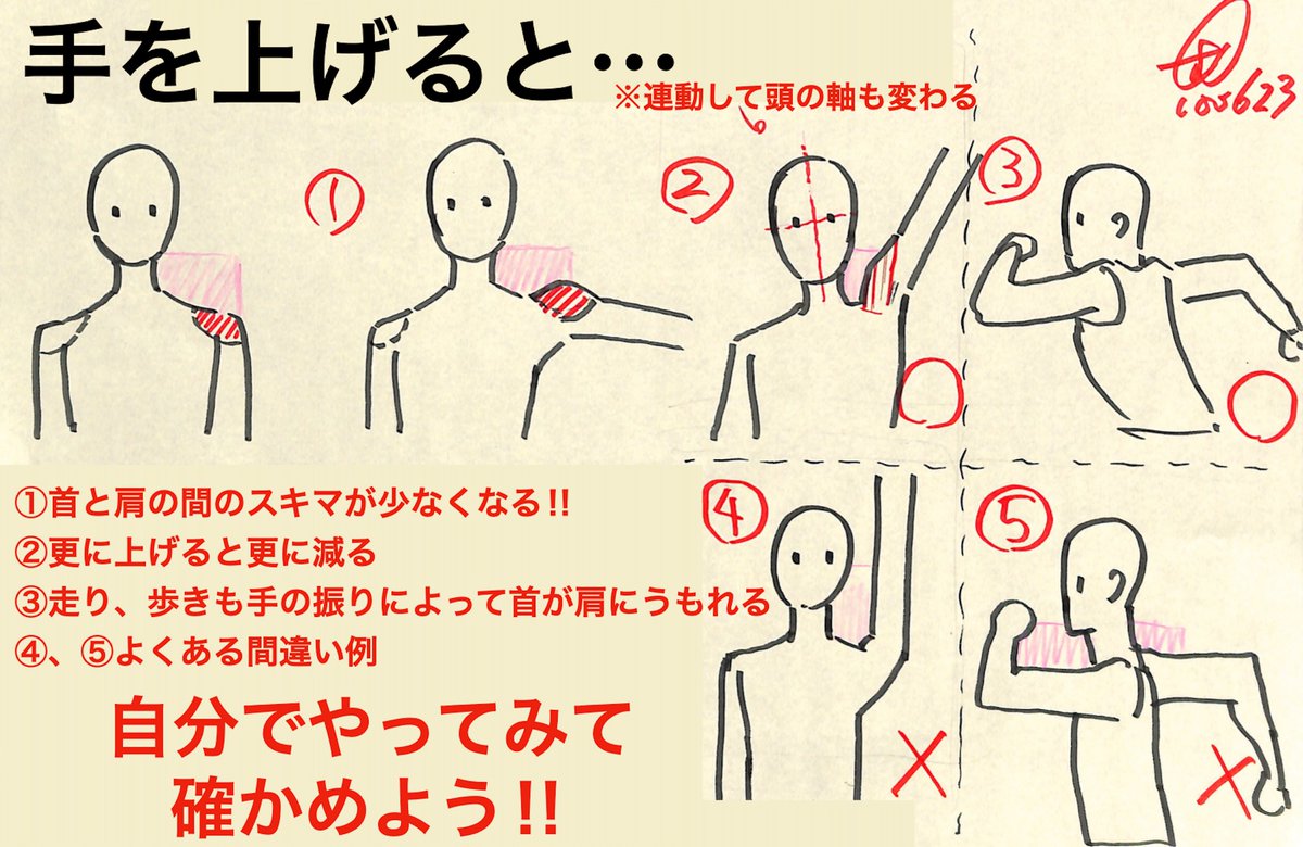 ◎肩胴回りまとめ 