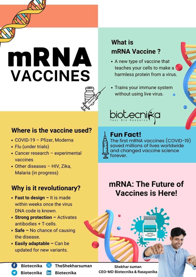 biotecnika's tweet image. Ever wondered how mRNA vaccines work? Think of it like giving your immune system a &quot;most wanted&quot; poster for a virus, without ever letting the real culprit inside. 🧬

#mRNAvaccine #ScienceExplained #HowItWorks #PublicHealth #MedicalScience #Innovation