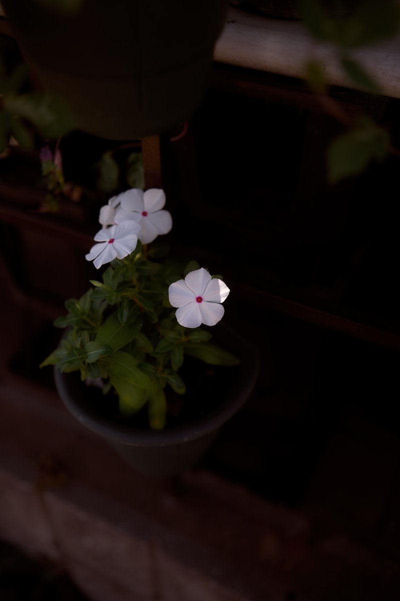 Little Happiness in Daily Life